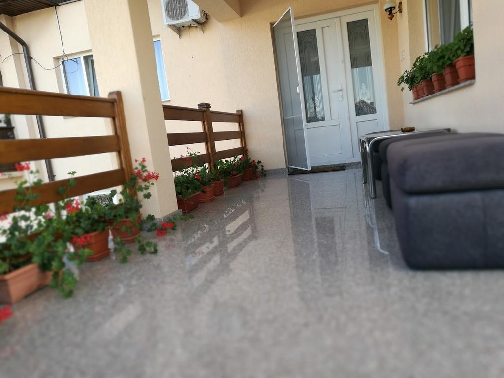 Pensiunea Xinela Baia de Fier Exterior foto